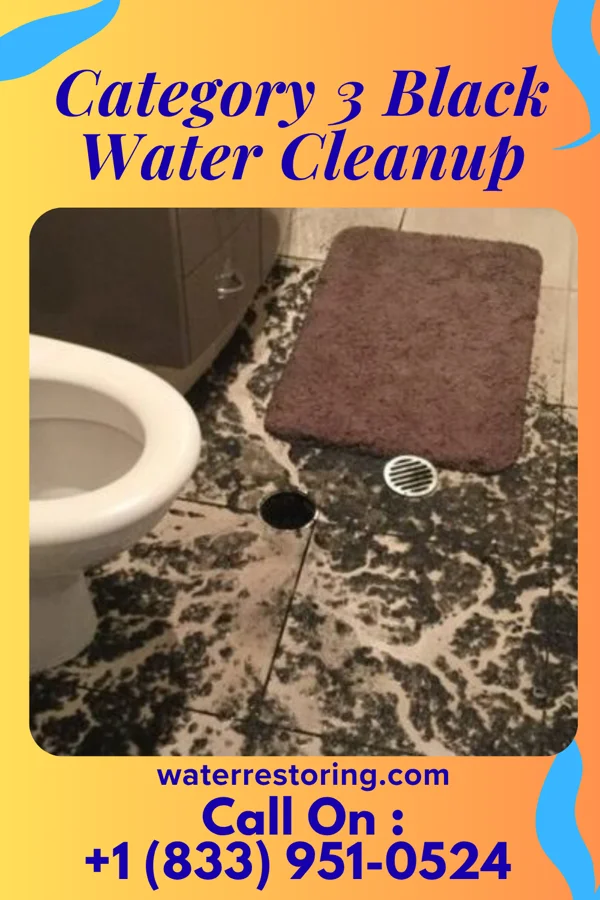 Category 3 Black Water Cleanup in Byron, MI