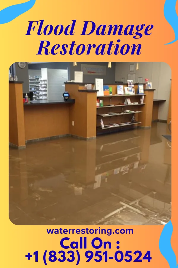 Flood Damage Restoration in Byron, MI